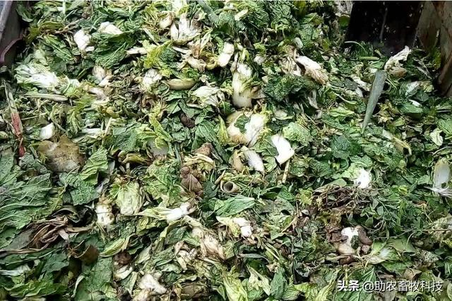 果蔬廢棄物垃圾怎樣進(jìn)行科學(xué)資源化無(wú)害化減量化處理？